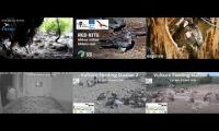 Thumbnail of BirdsNestingBirdsFeeder 15
