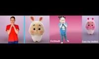 Cute Fat Rabbit and me BROHACKER VS FATIMAH