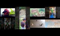 Thumbnail of Bumi cahaya reptiles,bumi cahaya reptiles,bumi cahaya reptiles,bumi cahaya reptiles,bumi cahaya rept