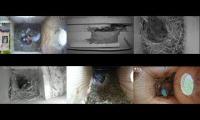 BirdsNestingBirdsFeeder 6