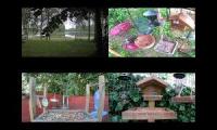 Thumbnail of BirdsNestingBirdsFeeder 27