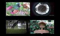BirdsNestingBirdsFeeder 27