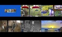 BirdsNestingBirdsFeeder 26