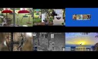 Thumbnail of BirdsNestingBirdsFeeder 26