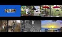 Thumbnail of BirdsNestingBirdsFeeder 26