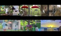 BirdsNestingBirdsFeeder 26