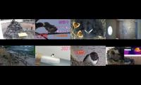 BirdsNestingBirdsFeeder 2