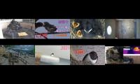 BirdsNestingBirdsFeeder 2