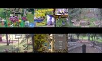 BirdsNestingBirdsFeeder 31