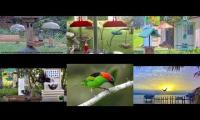 Thumbnail of BirdsNestingBirdsFeeder 26