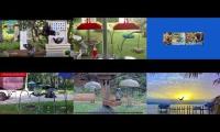 BirdsNestingBirdsFeeder 26
