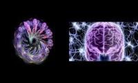 Thumbnail of Pulsing Muscle Fractal Ohm
