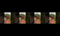 vlog ki estsi kardi one-page ke malik