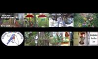 BirdsNestingBirdsFeeder 8 (2)