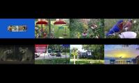 Thumbnail of BirdsNestingBirdsFeeder 26