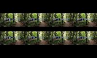 Thumbnail of explore hutan tropis