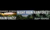 Rainforest Rain Sounds Compilation