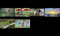 Thumbnail of BirdsNestingBirdsFeeder 26