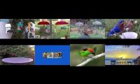 BirdsNestingBirdsFeeder 26