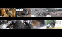 BirdsNestingBirdsFeeder 15