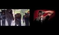 Hanging bats filmed upside-down with blade intro music