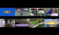 Thumbnail of BirdsNestingBirdsFeeder 26