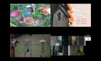 BirdsNestingBirdsFeeder 30