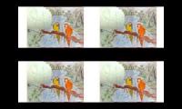 Thumbnail of Attha wildan official, attha wildan official ,attha wildan official