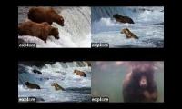 gChipowski Brooks Falls MultiBear