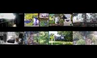 Thumbnail of birdnestinglivesream 27