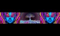 In the blink nation psychedelic now