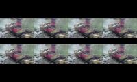 Ikan ikan lucu ||Abang Biyan TV