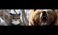 owlbear noise dot mp3
