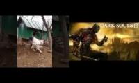 Rooster Souls Rooster Souls Rooster Souls
