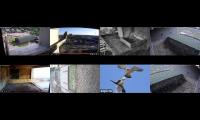 birdnestinglivesream 17 ( H )