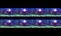 Thumbnail of relaxi lagu santai, degan pemandanga ikan kecil yang munggil dan indah