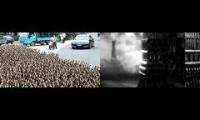 Duck Army!!!!!!!!!!!!!!!!!!!!!!