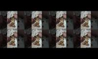 Thumbnail of Phinottss channel,phinottss channel