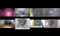 Thumbnail of birdnestinglivesream 9  ( F )