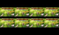 Thumbnail of woeng kampoeng, woeng kampoeng