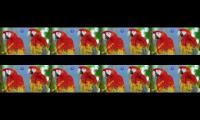 1 hour with the latest relaxing music and pleasant to hear, the beauty of birds in the background