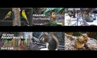 LoveanimalsMakeanimalssafe