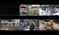 Thumbnail of LoveanimalsMakeanimalssafe