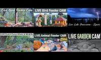 LoveanimalsMakeanimalssafe