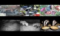 Thumbnail of LoveanimalsMakeanimalssafe