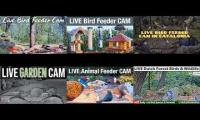 LoveanimalsMakeanimalssafe