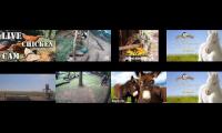 Thumbnail of LoveanimalsMakeanimalssafe