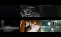 LoveanimalsMakeanimalssafe