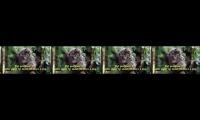 To know more about animal