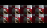 Thumbnail of kucingku pemalas sukanya tidur